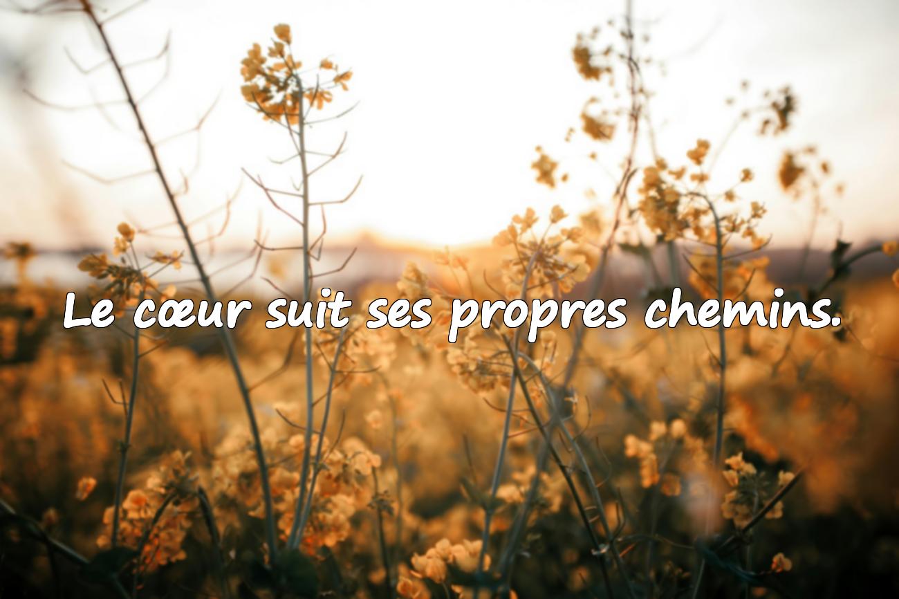 Citations Amour Impossible