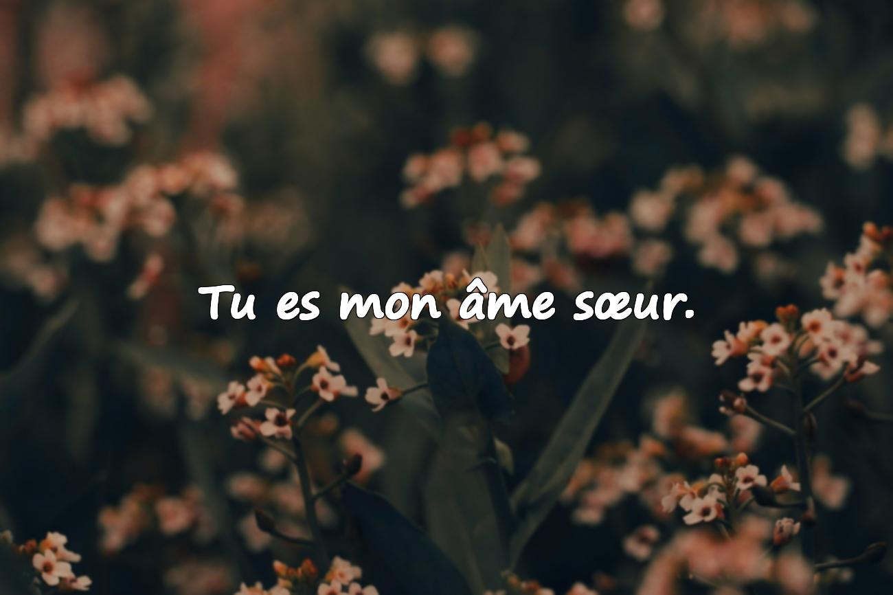 Citations Amoureuse