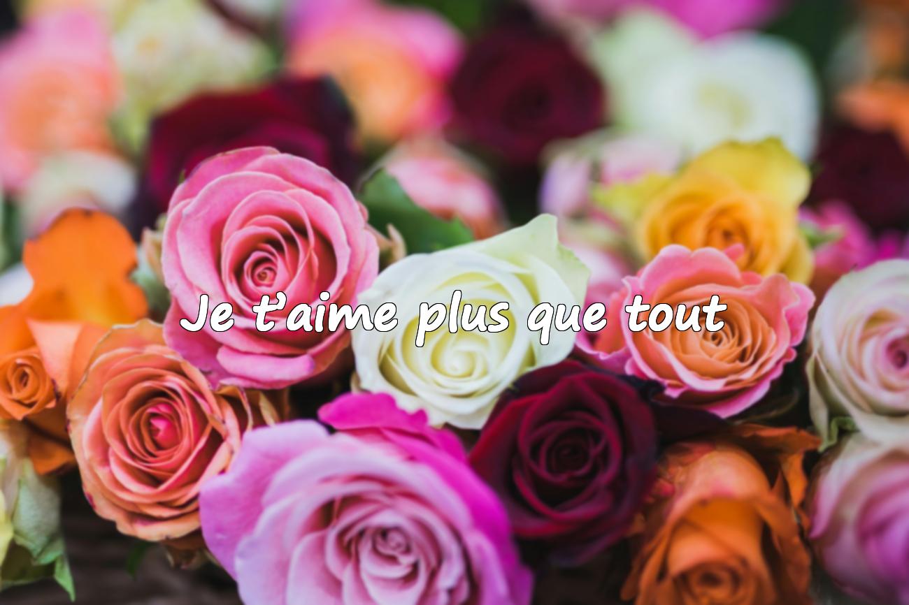 Citations Amoureuse