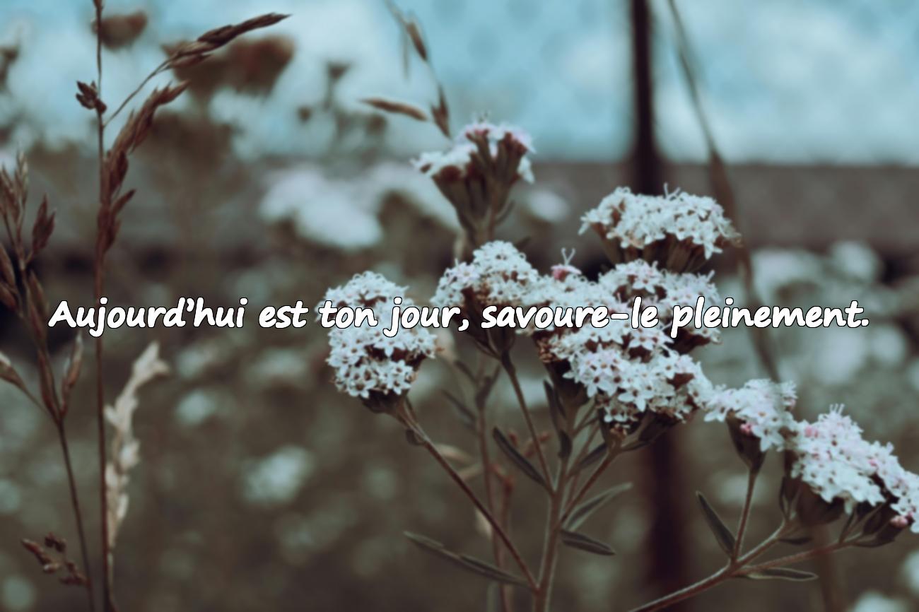 Citations Anniversaire