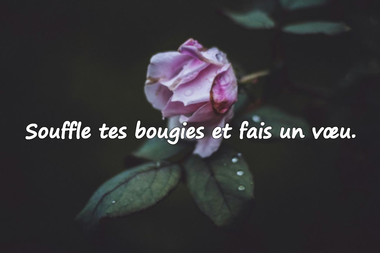 Citations Anniversaire