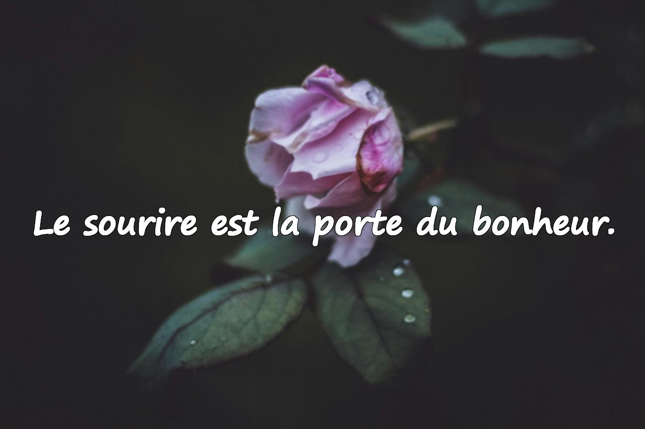 Citations Bonheur