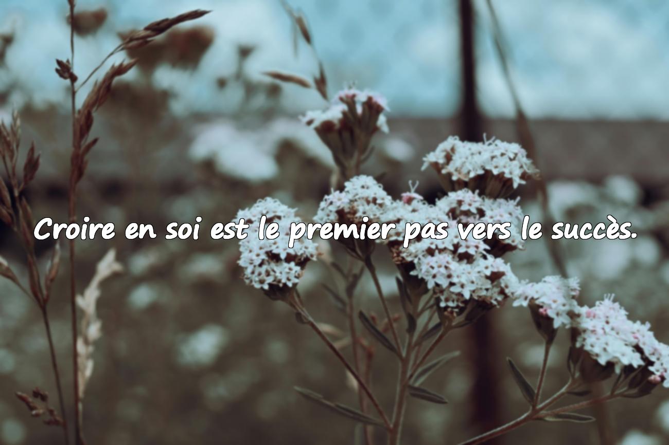 Citations Confiance