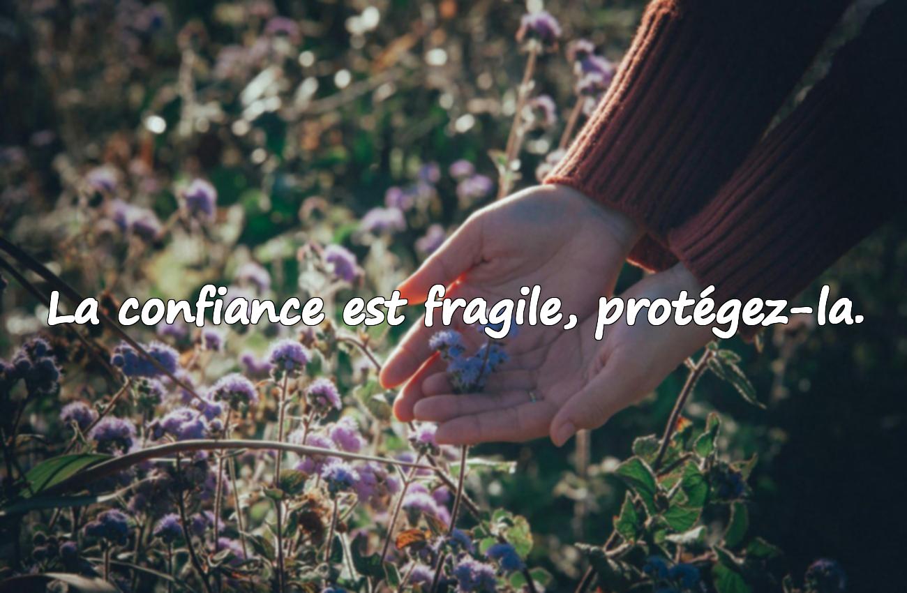 Citations Confiance
