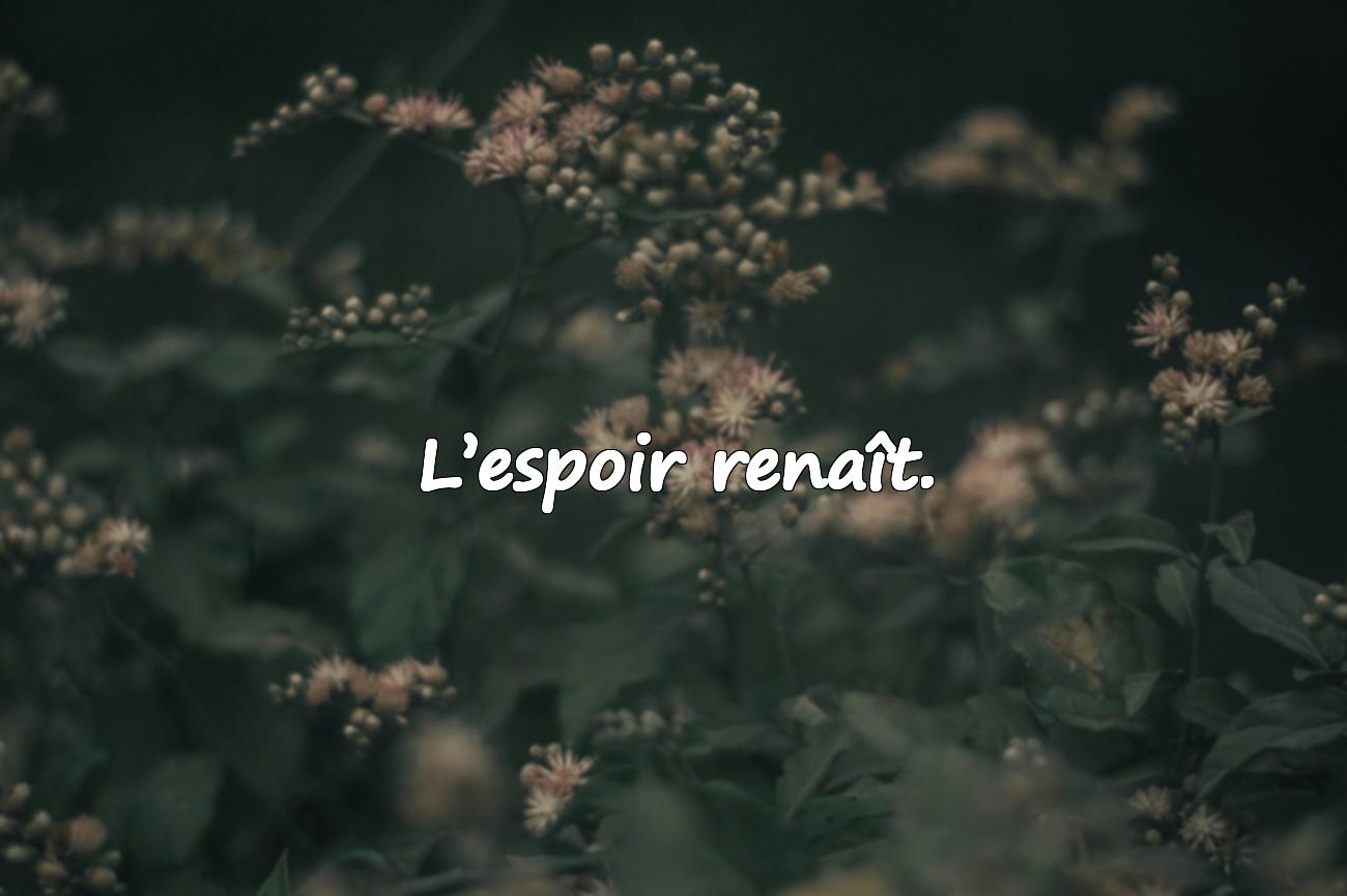Citations Courtes