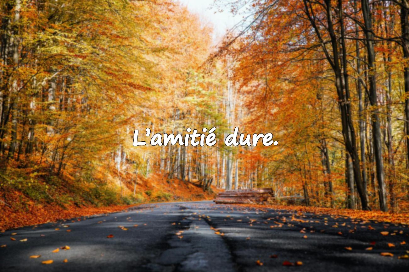 Citations Courtes
