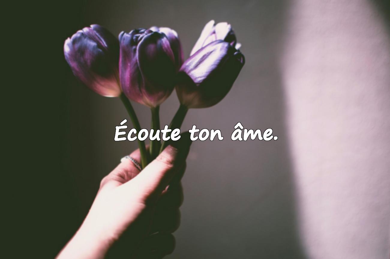 Citations Courtes