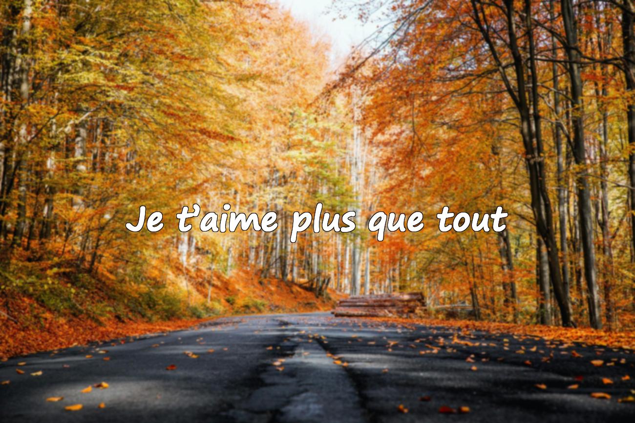 citations d amour