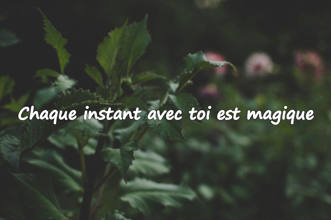 citations d amour