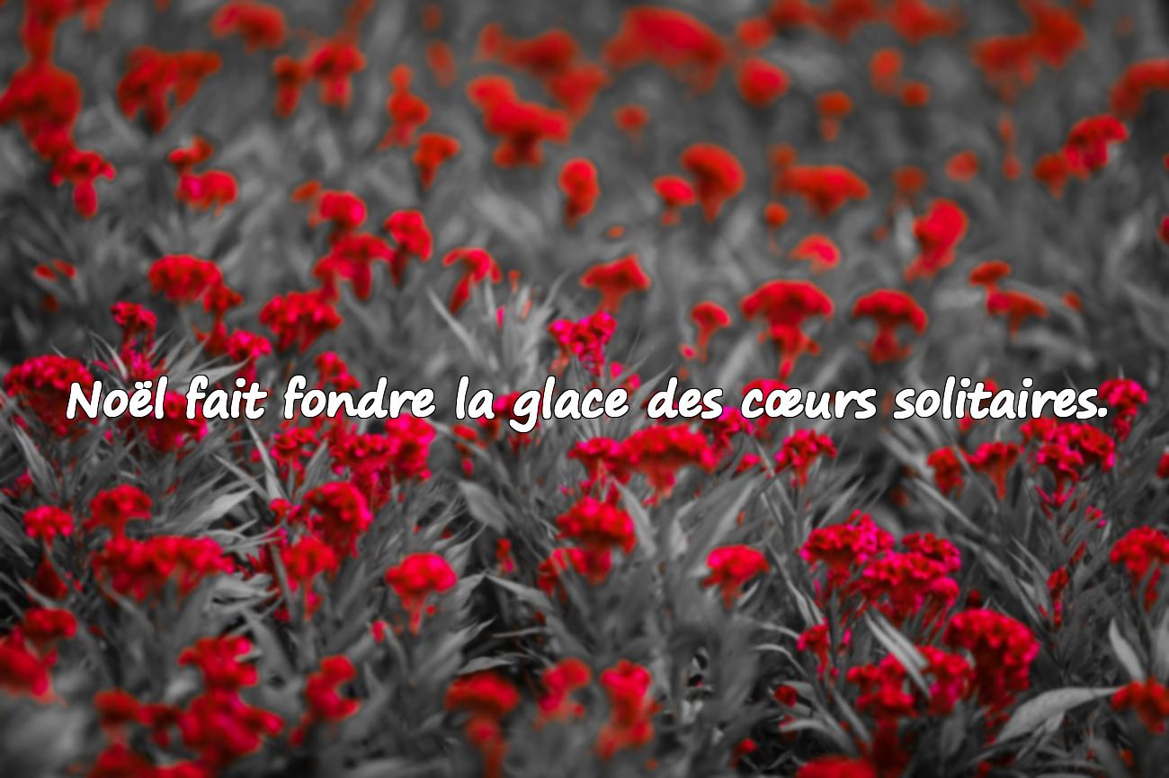 Citations de Noël