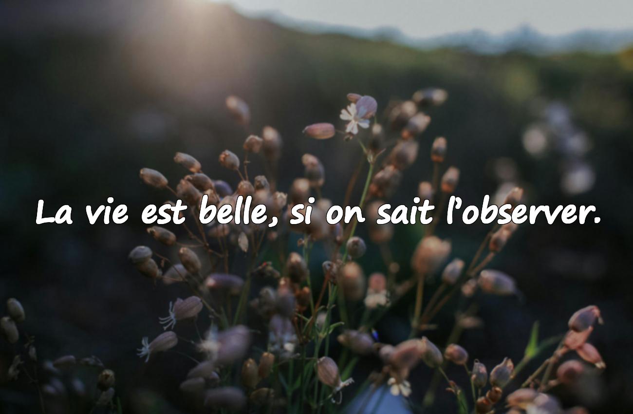 Citations d’Einstein