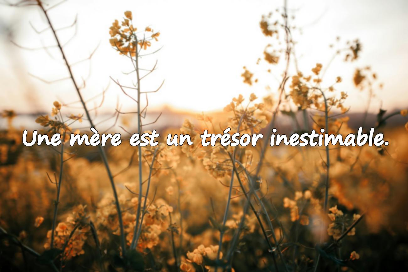 Citations Maman