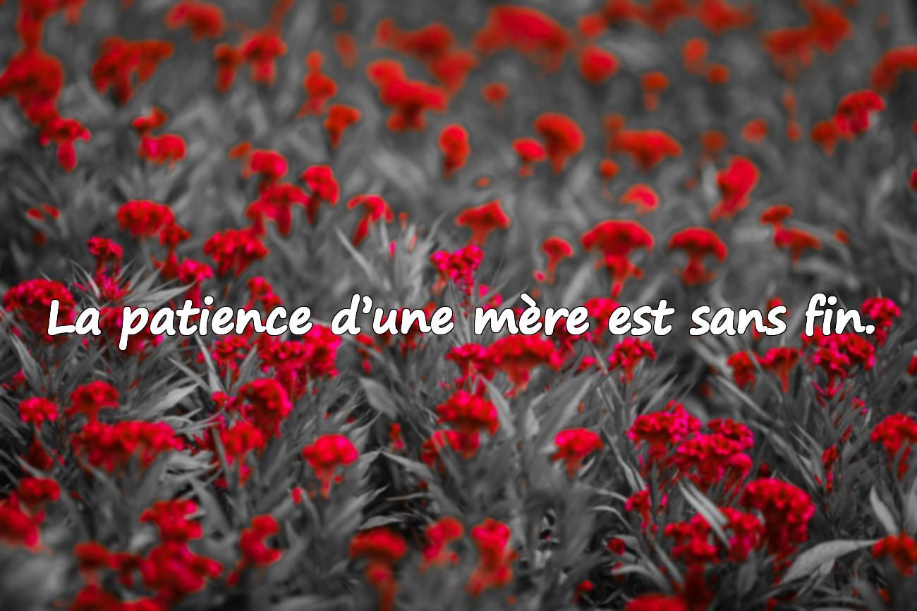 Citations Maman