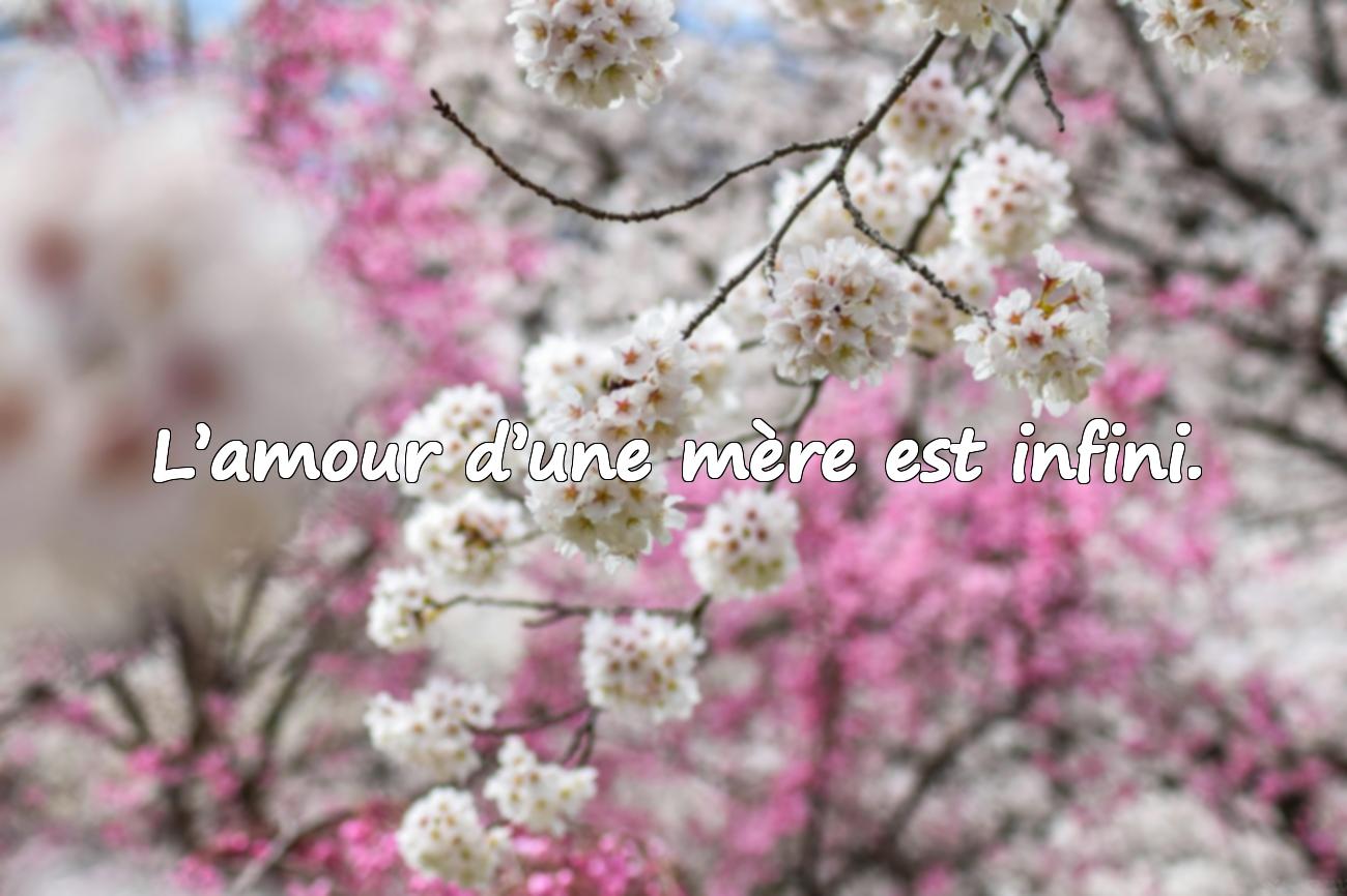 Citations Maman