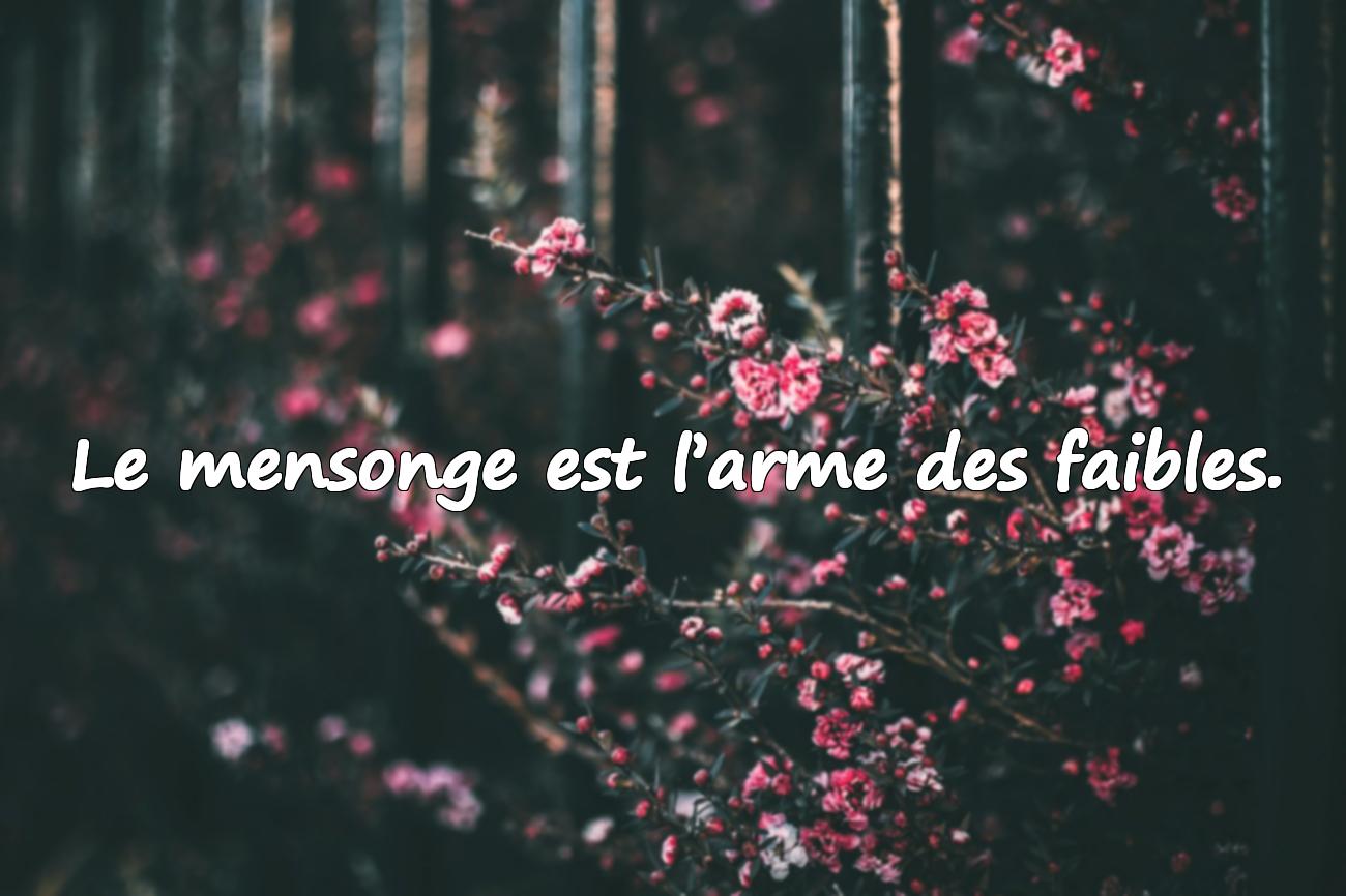 Citations Mensonge