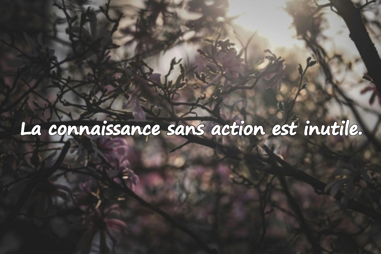 citations philosophique
