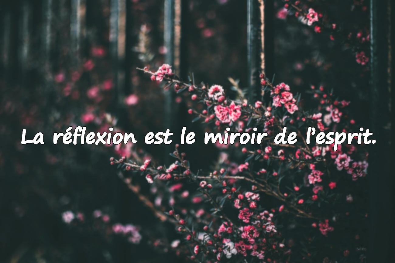 citations philosophique