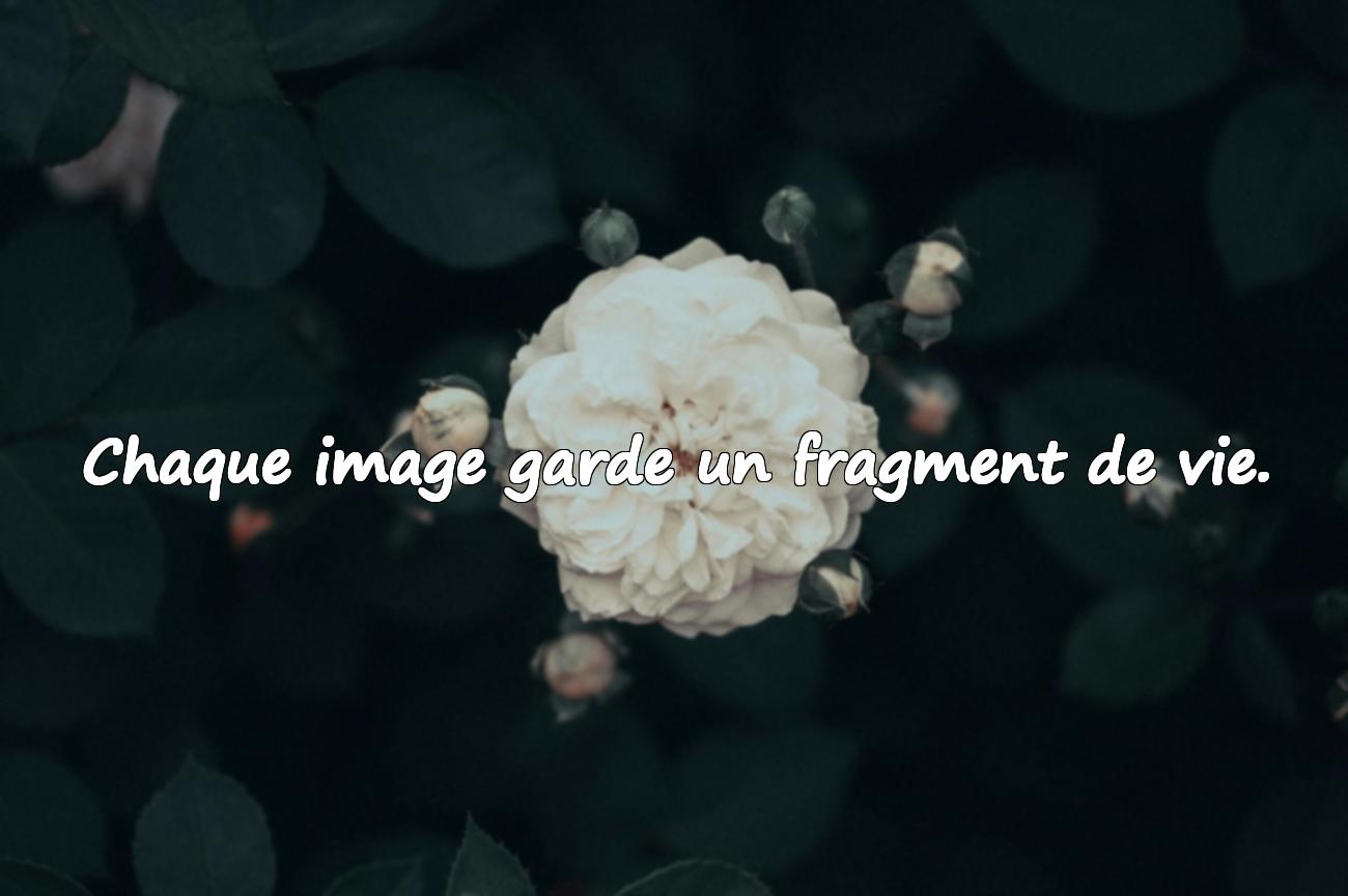 Citations Photo