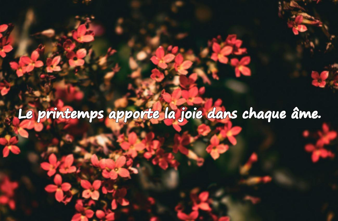 Citations profondes sur le printemps