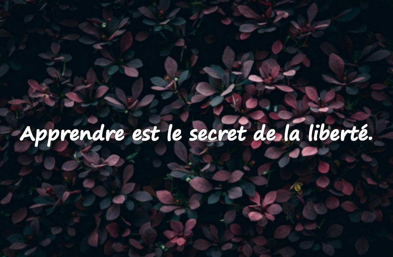 Citations Rentrée Scolaire