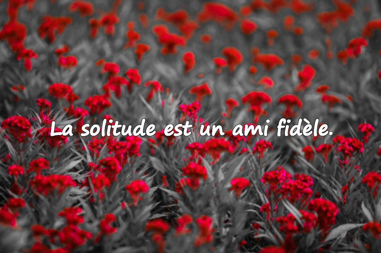 Citations Solitude