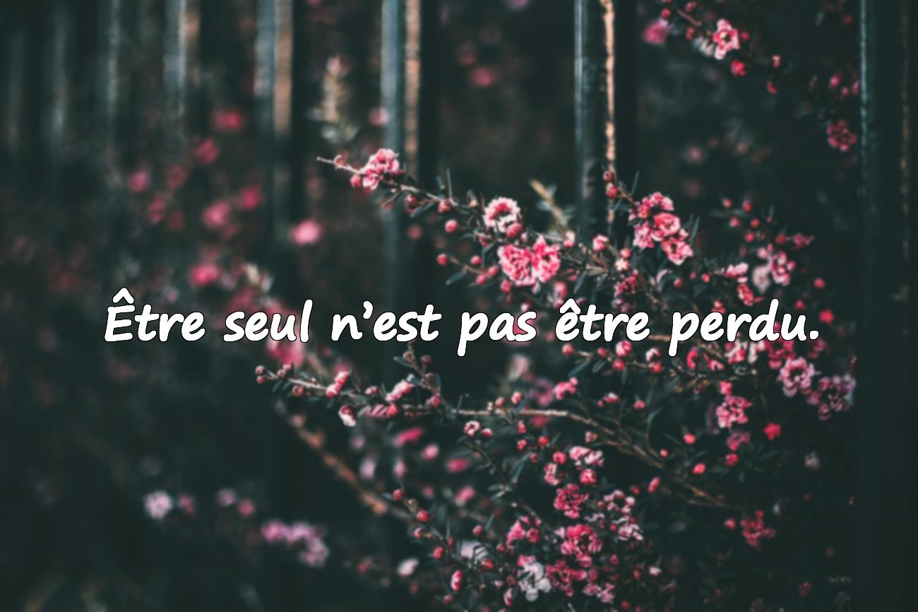Citations Solitude