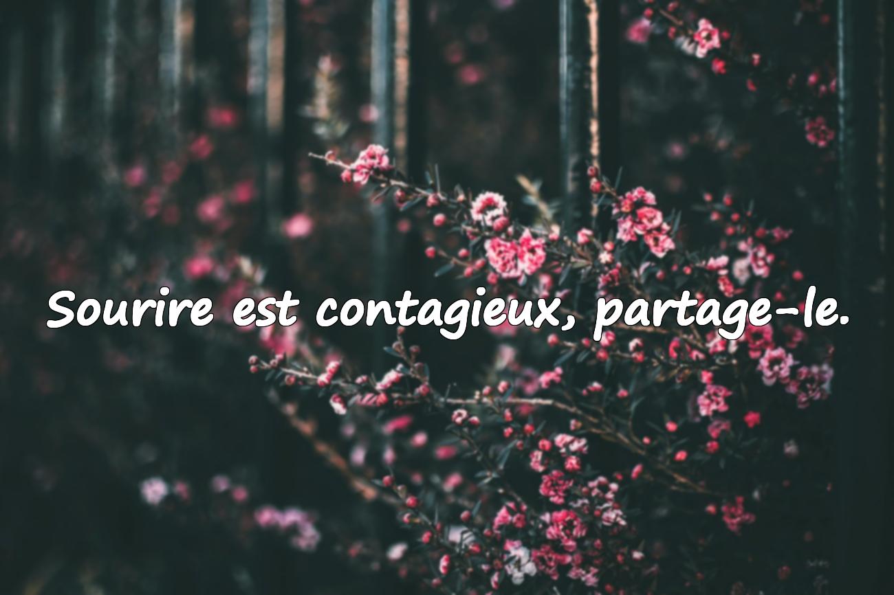 Citations Sourire