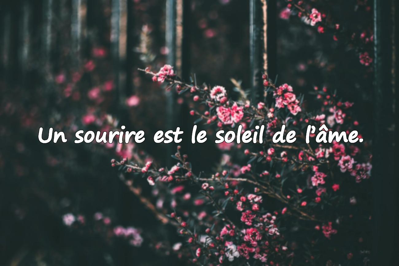 Citations Sourire