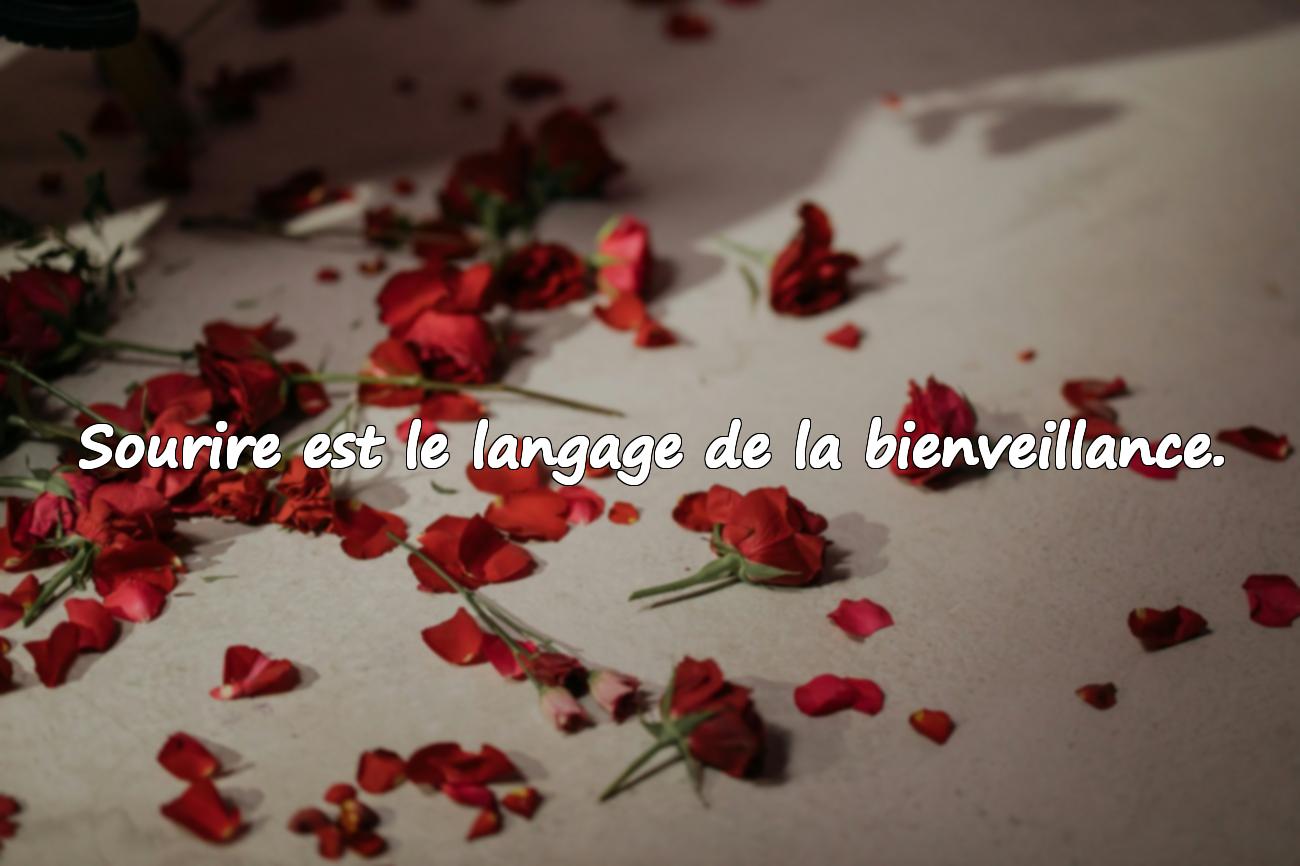 Citations Sourire