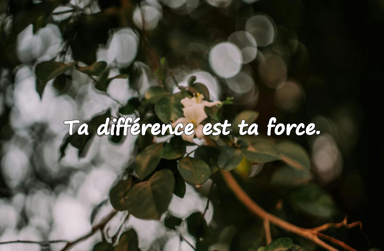 Citations sur Être Soi-même