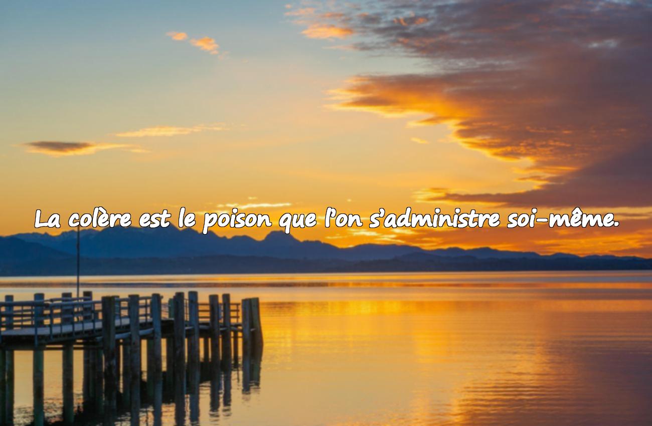 Citations sur la Colère – 35 Idées