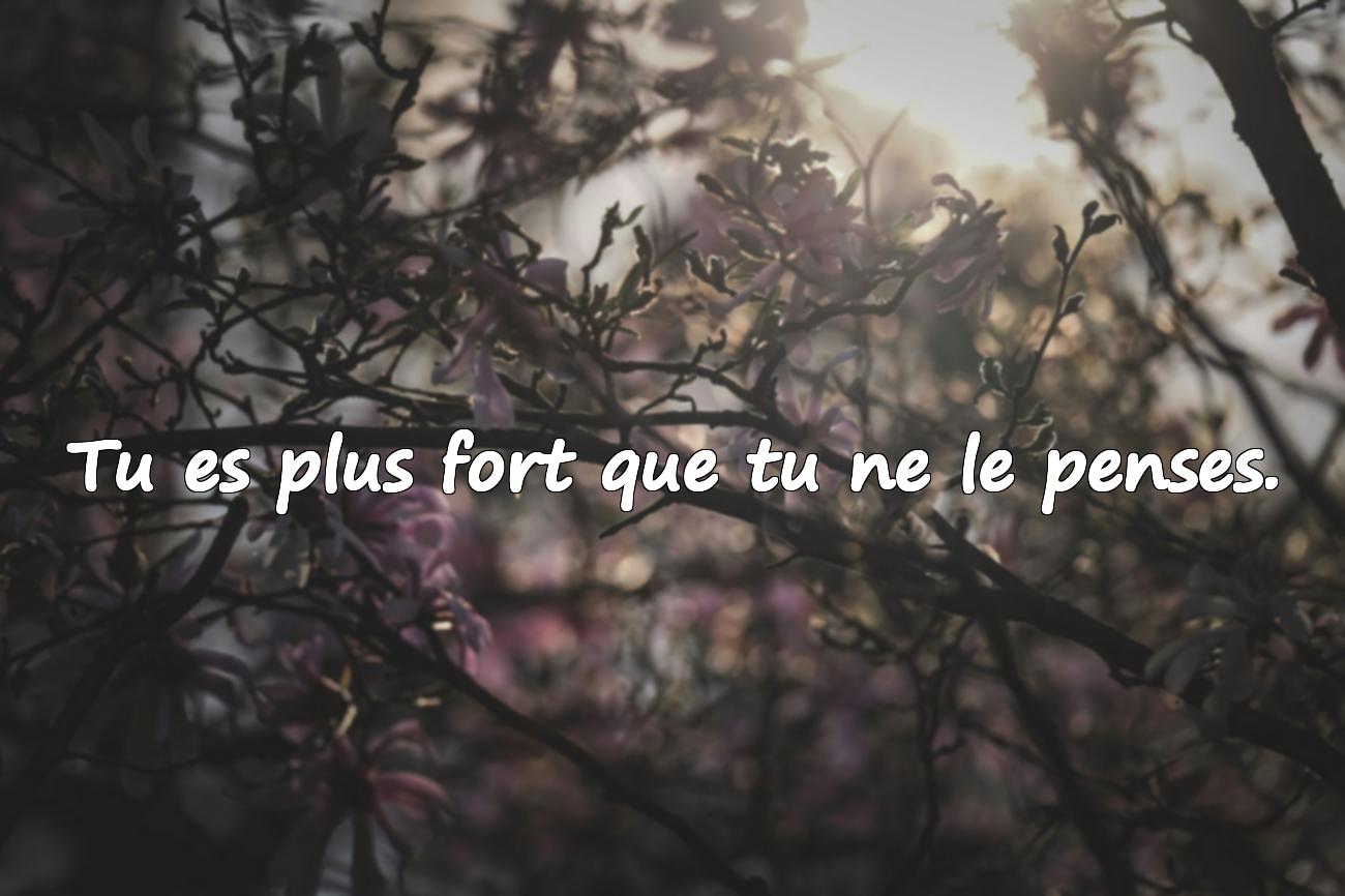 Citations sur la Confiance en Soi – 30 Idées