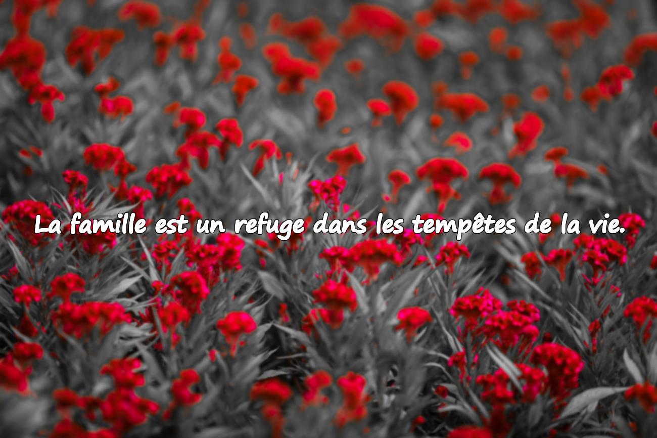 Citations sur la Famille