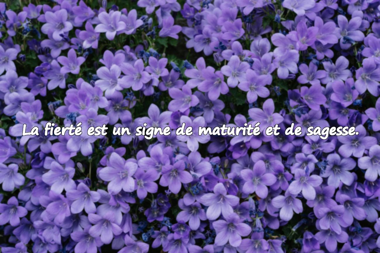 Citations sur la Fierté