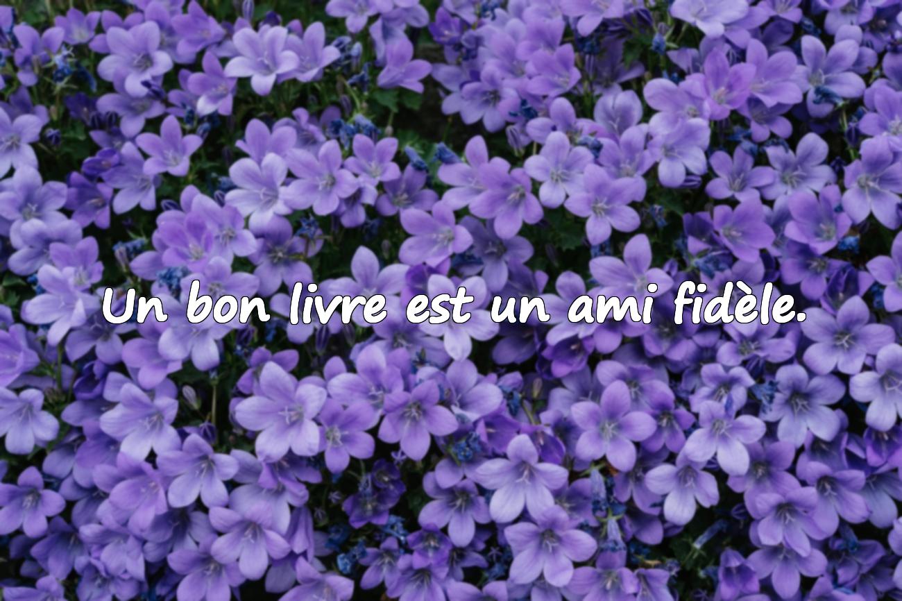 Citations sur la Littérature