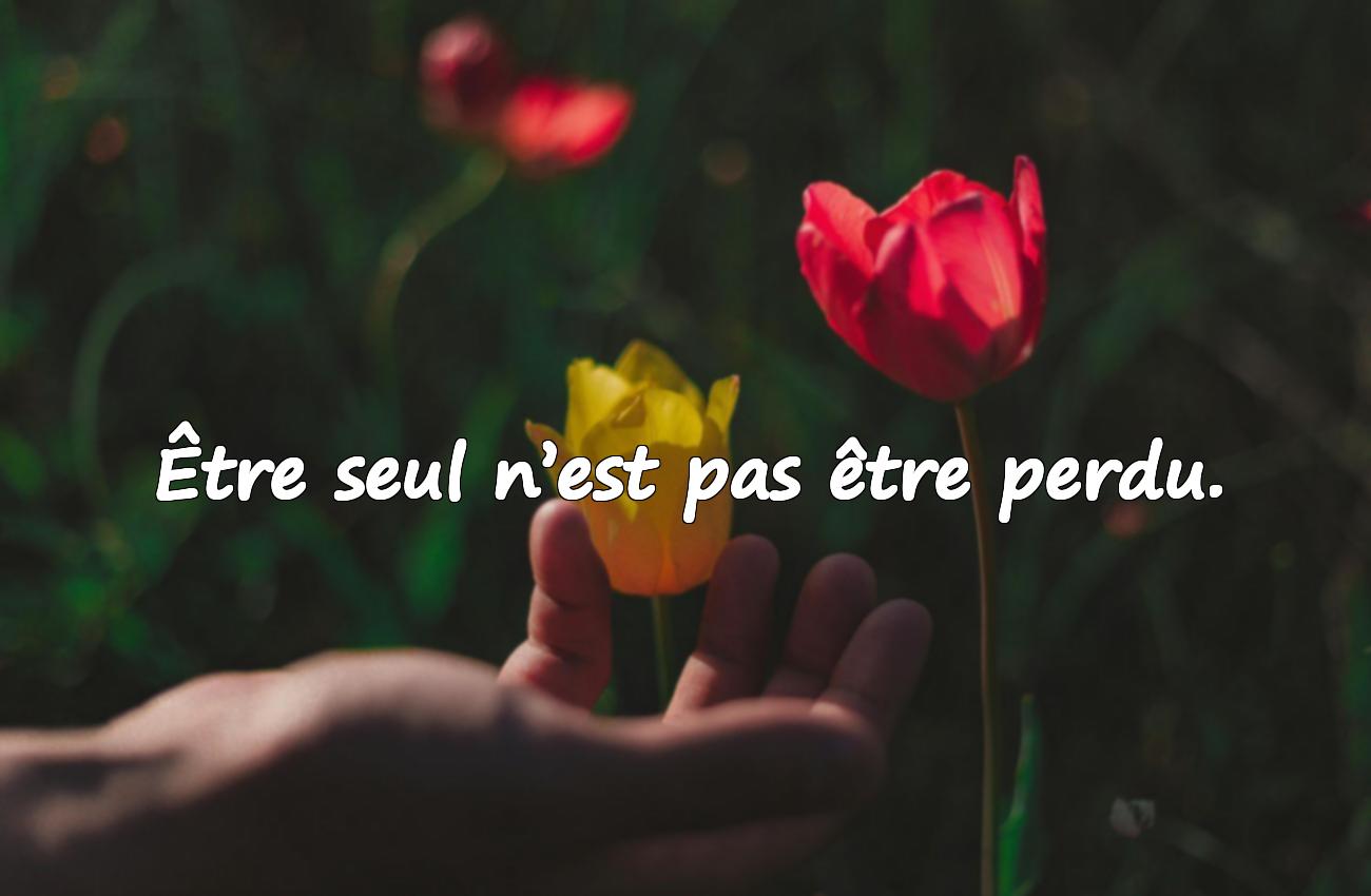 Citations sur la Solitude