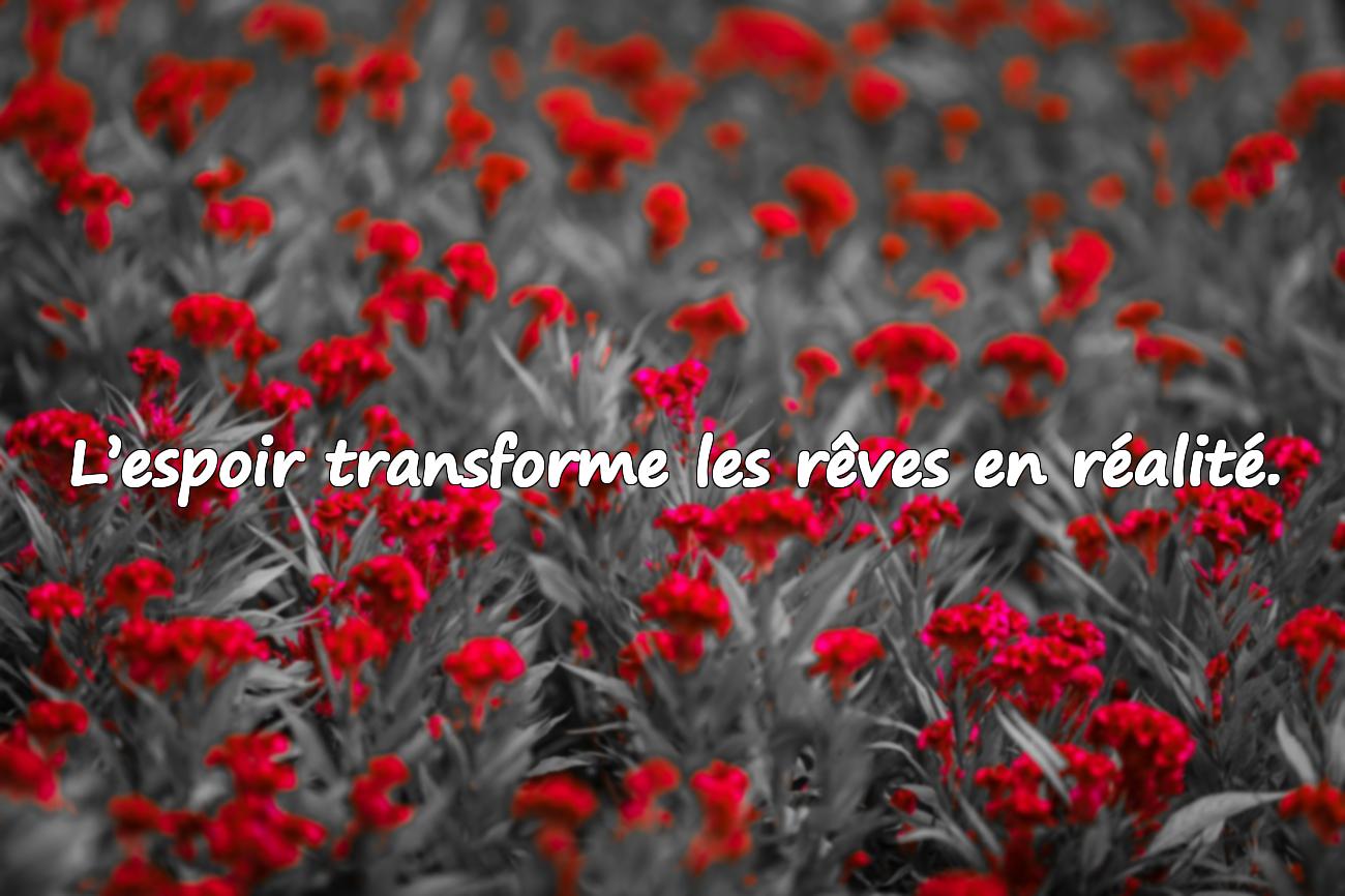 Citations sur la Vie et l’Espoir
