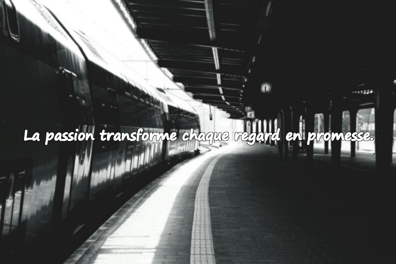 Citations sur l’Amour Passion