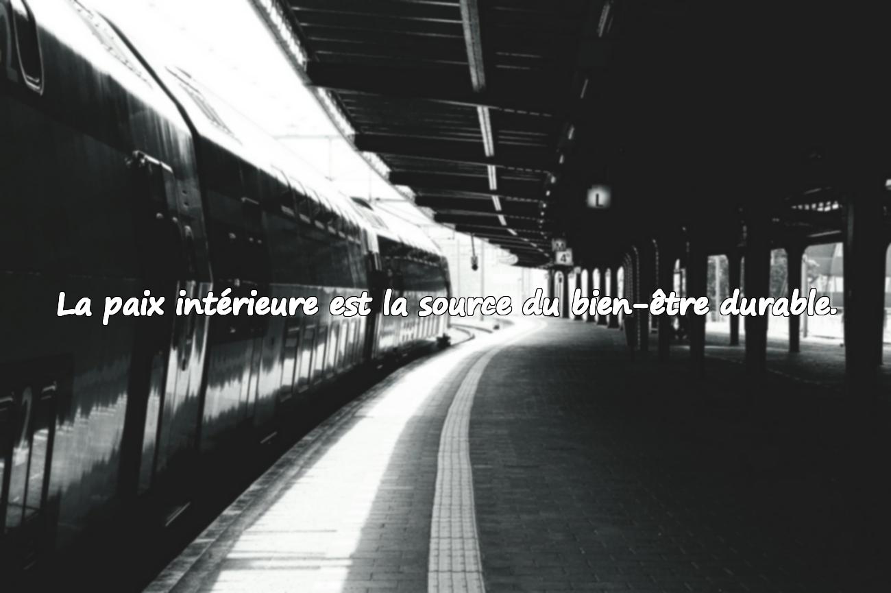 Citations sur le Bien-Être
