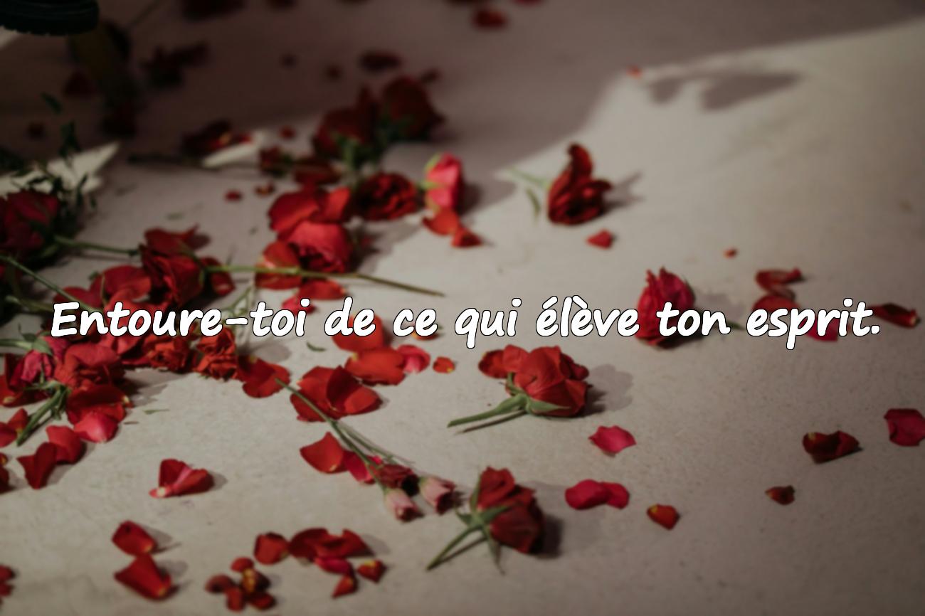 Citations sur le Bien-Être