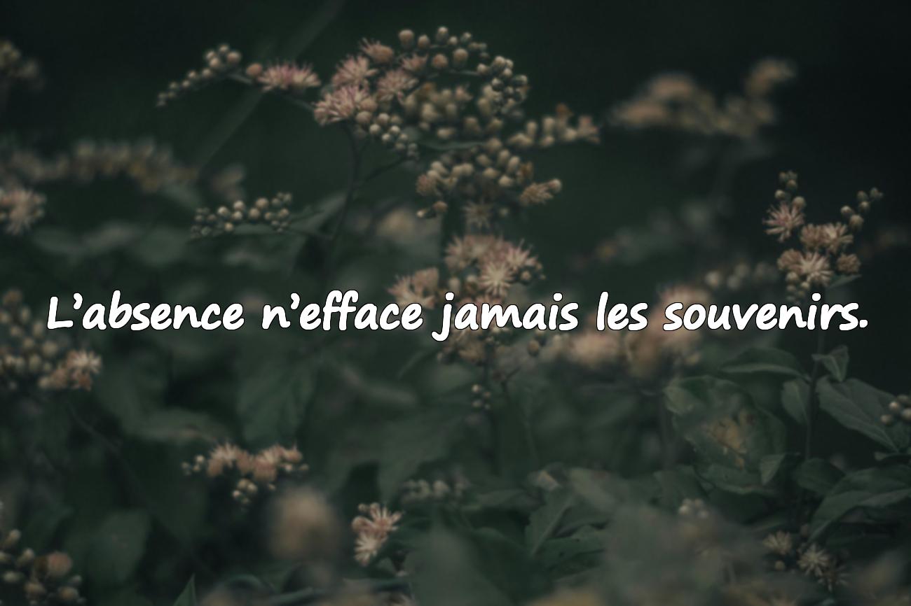 Citations sur le Deuil