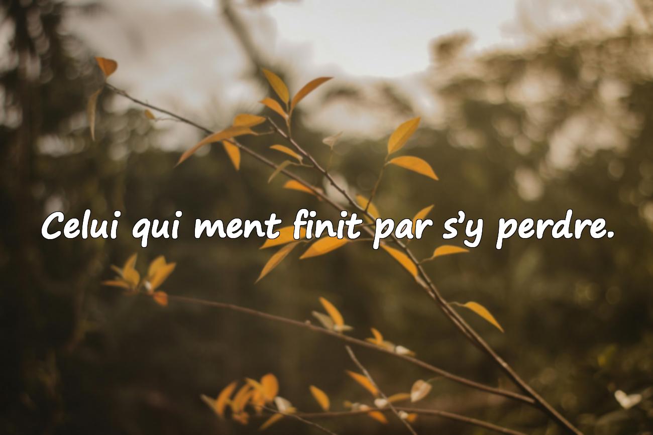 Citations sur le Mensonge
