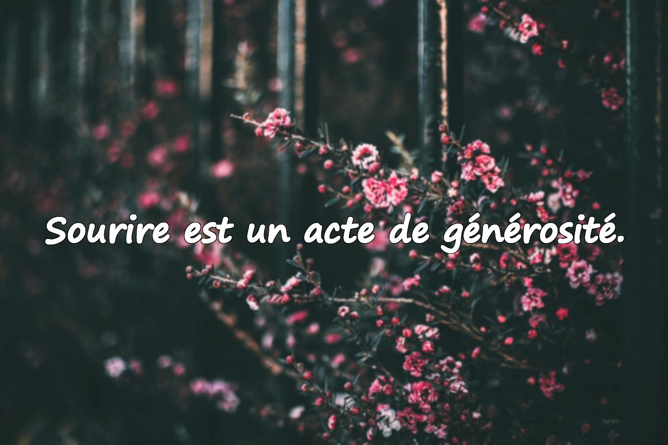 Citations sur le Sourire