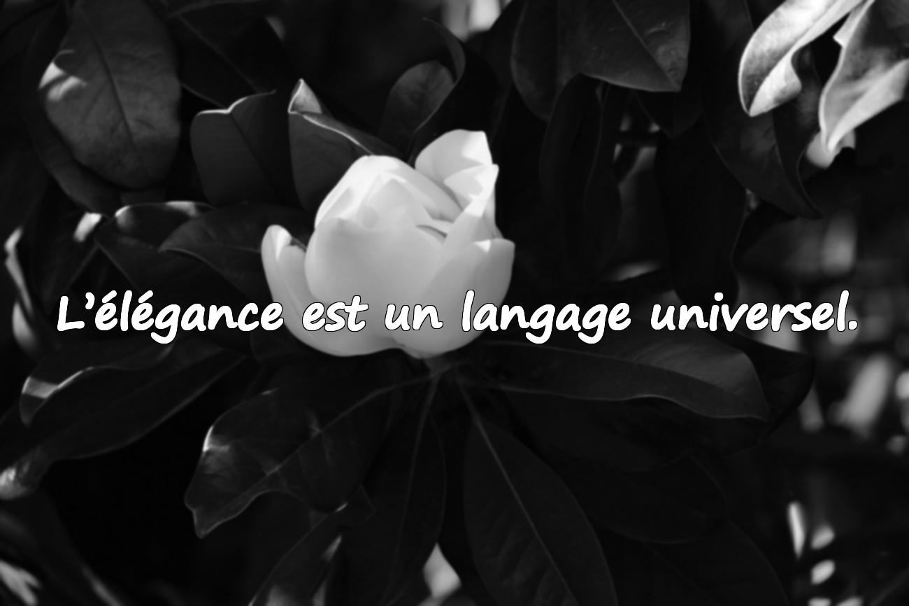 Citations sur l’Élégance