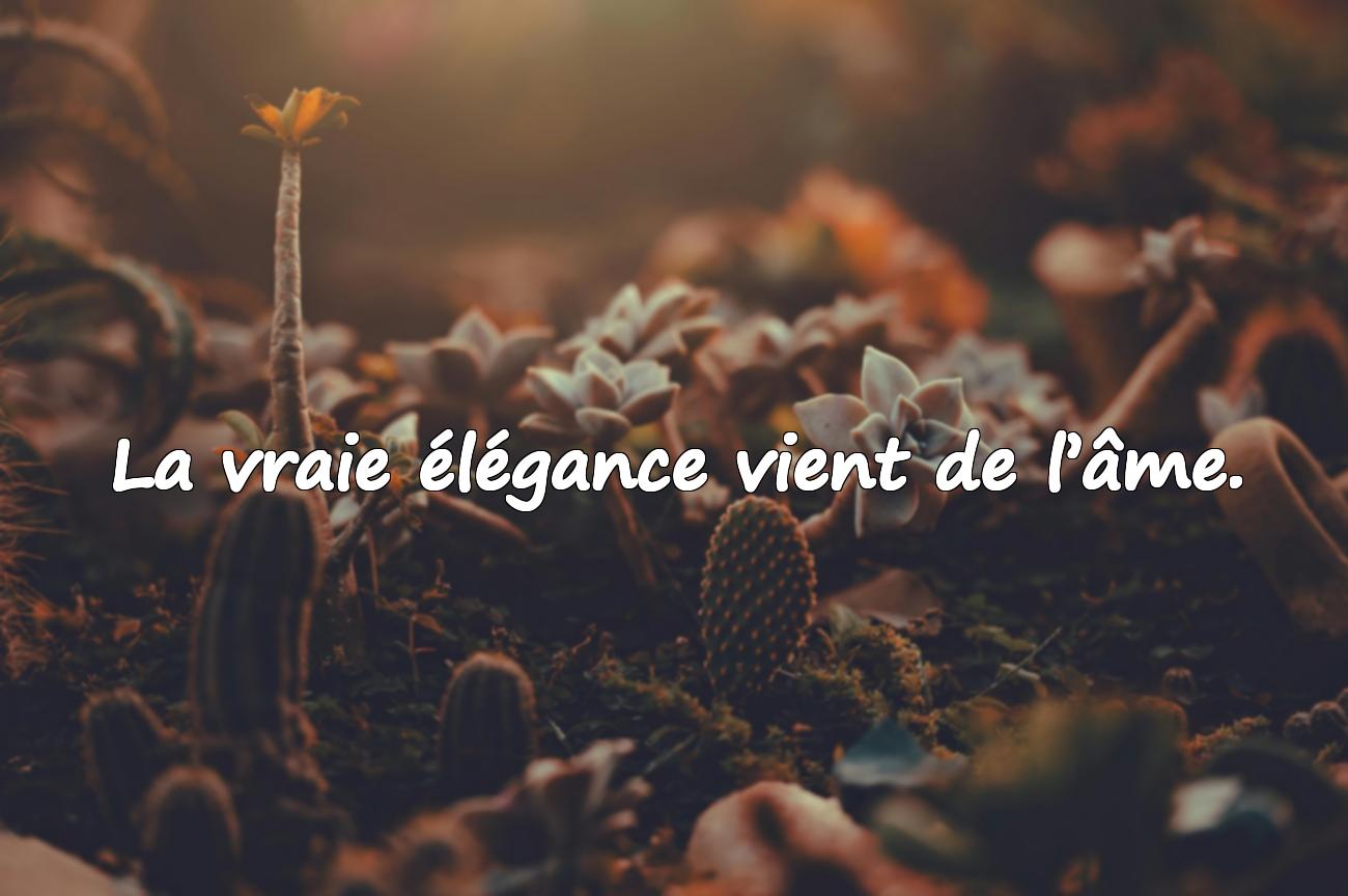 Citations sur l’Élégance