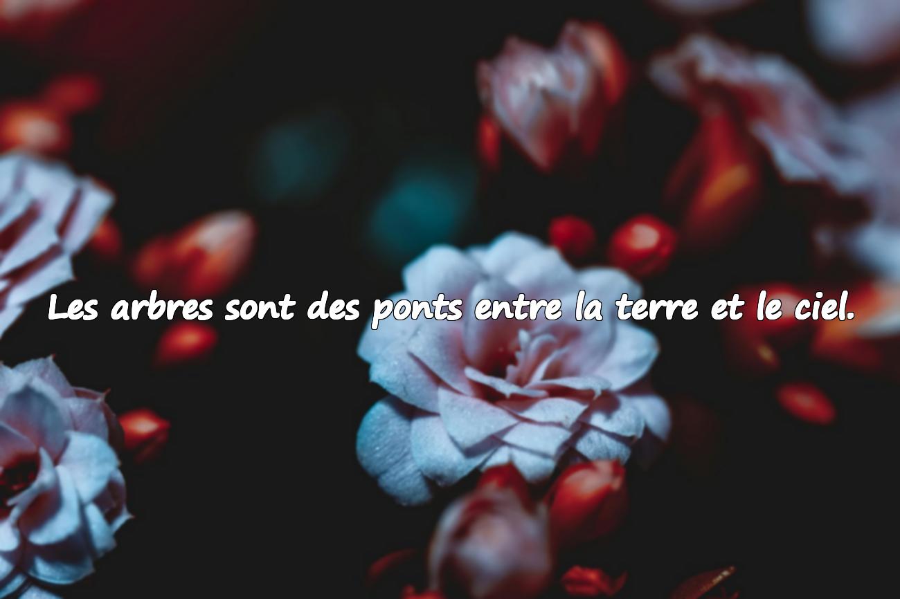 Citations sur les Arbres