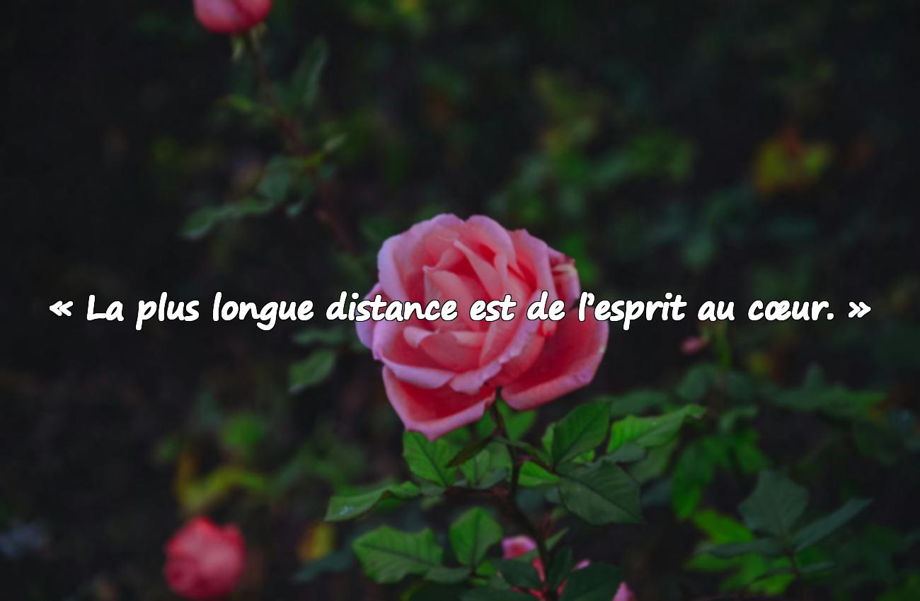 Citations Sur Les Distances