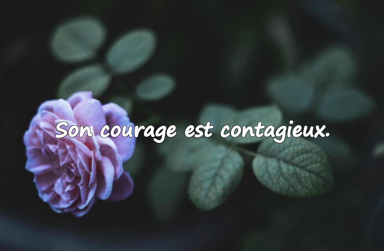 Citations sur les Femmes de Caractère