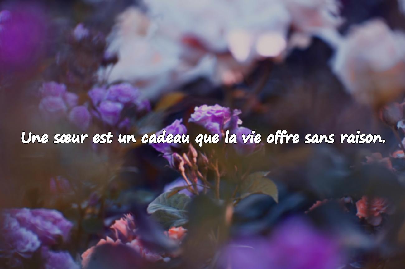 Citations sur les Frères et Sœurs