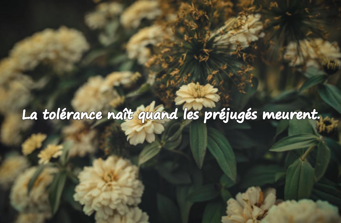 Citations Sur Les Préjugés